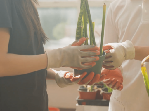 Lovett School // Brand Video